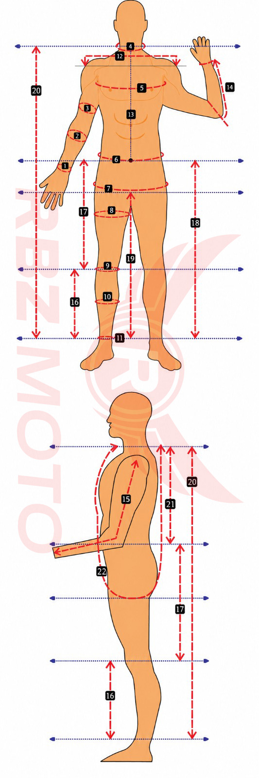 Body measurement guide diagram