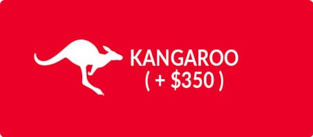 Kangaroo Leather +$350